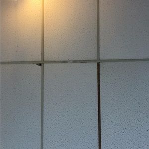 Meet your Posher, Gloria